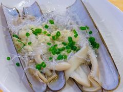 圣子皇-蚝专家(北滘店)