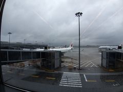 -东方航空(虹桥路店)