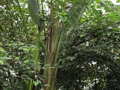 -金稼园·金平湖农家菜