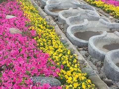 -门城湖公园