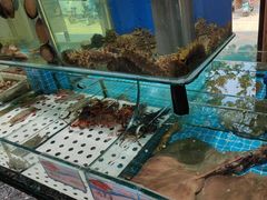 -渔码头食府·20年蓬莱老字号(登州路店)