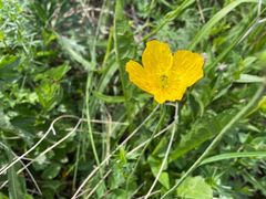 -白草畔自然风景区