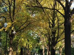 -苏州大学(天赐庄校区)
