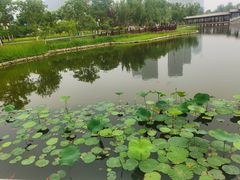 -西海子公园