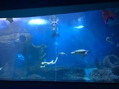 -多彩贵州城极地海洋世界