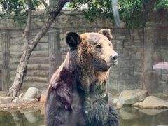 -灵玲国际马戏城