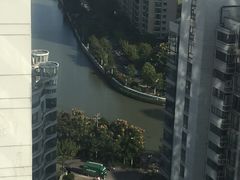 -新湖明珠城