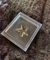 -SWAROVSKI(燕莎奥特莱斯店)