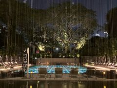 -新加坡丽思卡尔顿美年酒店