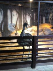 -酷嗒动物文化乐园(cutezoo西溪乐天城店)