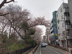 -井之头恩赐公园
