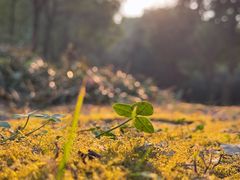 -白鹭湾湿地公园