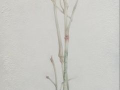 -六出私塾LiuChu•成人美术书法系统课程专业画室(熊婆婆的花园店)