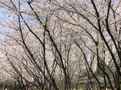 -白塘生态植物园