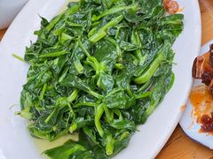 炒豌豆尖-雨田饭店(华兴东街店)