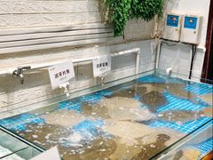 -郑庄脂渣海鲜楼(九水路店)