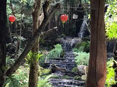 -绿光森林餐厅