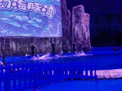 -华夏文旅海洋公园