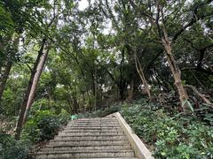 -冰泉豆浆馆(白云山总店)