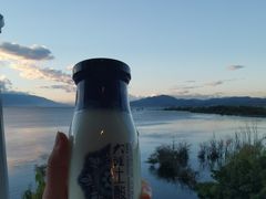 大理酸奶-野菌皇海景野生菌火锅(滨海大道店)