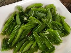 -晓雯人家