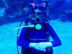 -华夏文旅海洋公园