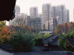 -堤角公园