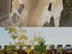 -曲廊院(东四十一条店)