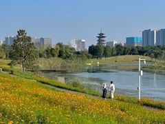 -大围山国家森林公园