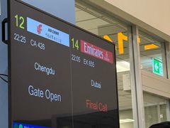 -班达拉奈克国际机场