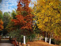 -江南大学(蠡湖校区)