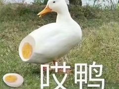 -四平包子铺