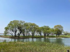 -苏州太湖湖滨国家湿地公园
