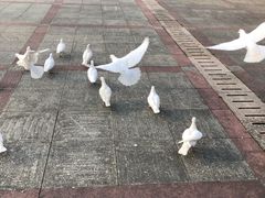 -善卷洞风景区