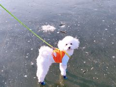 -马家湾湿地公园
