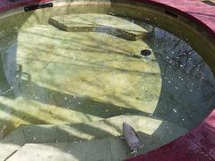 -东方华地城湿地温泉度假区