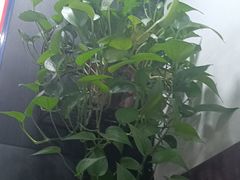 -李先生牛肉面大王(郑州火车站西广场2店)