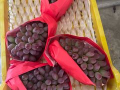 -马陆小张葡萄园农家乐