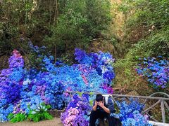 -龙湾潭国家森林公园