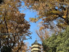 -灵谷景区