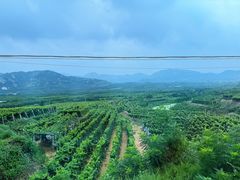 -大泽山风景名胜区