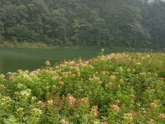 -广州市石门国家森林公园