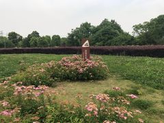 -九里河湿地公园
