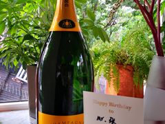 -蝶舍·MAISON PAPILLON