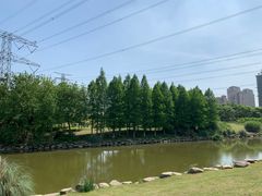 -九里河湿地公园