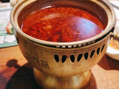 -亚马逊环球美食百汇(新城吾悦广场店)