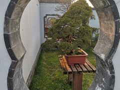 -扬州大运河文化旅游度假区·盆景园