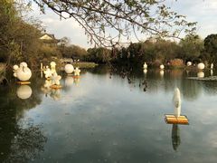 -西溪国家湿地公园