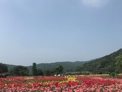 -龙寺生态园