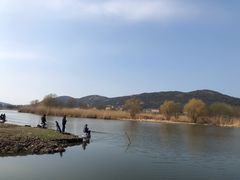 -长广溪湿地公园